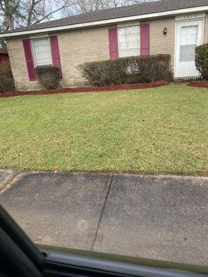 Cleanup, hedge trim and mulch application