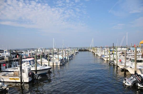 Marina on The Bay - 150 slips for boats to 50 feet (summer and winter storage) and transient dockage up to 110 ft, travel lift