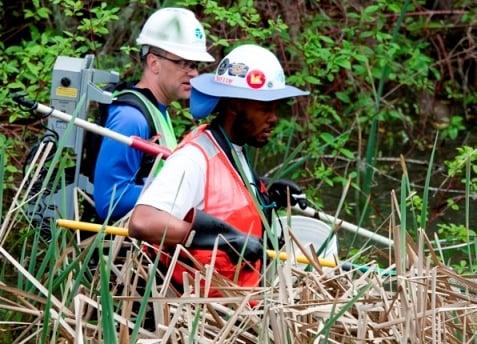 Biologists relocating protected fish from a project site during construction activities.