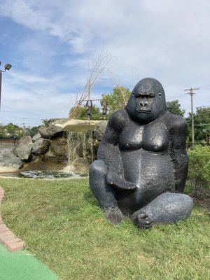 Pretty cool gorilla