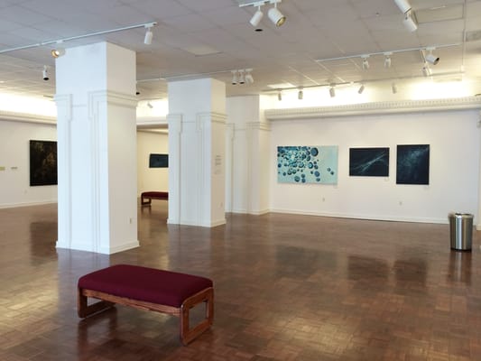 Carr Gallery