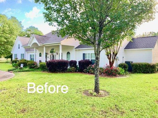 Before Hedge Trimming & Mulch