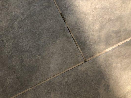 The grout was literally cracked and crumbling in two bathrooms and the laundry room.