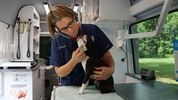 Dr. Dexter with Barnaby at his HouseCall vet visit.