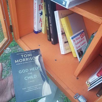 30Nov books in the Little Library