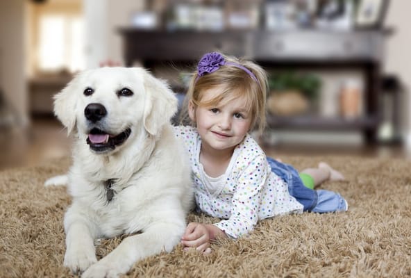 Photo credit: Jackie Perdomo Photography.  Actual client family.  All of our chemicals are children and pet safe!