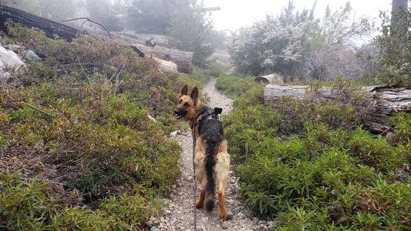 Enjoying the serenity of the Mountain Adventure Excursion