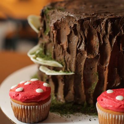 Woodland Themed Birthday Cake with Mushroom Cupcakes