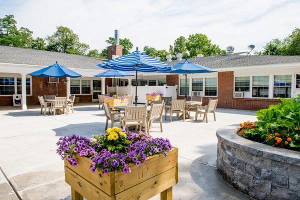 Enclosed patio with plantings.