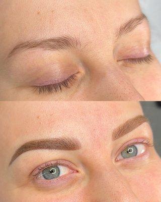 Microshaded Brows by Holly - Before (top) and After (bottom)