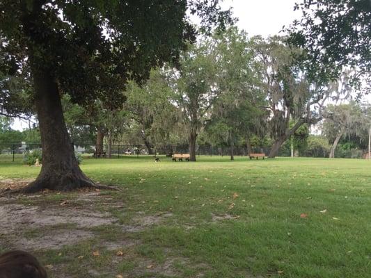 So many benches, double-fenced entrances and separate areas for smaller dogs. Awesome place!