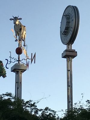 The famous (?) golden cow weathervane