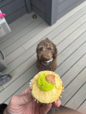 Bacon cupcake