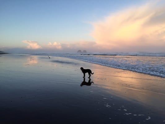 Beach sunrise