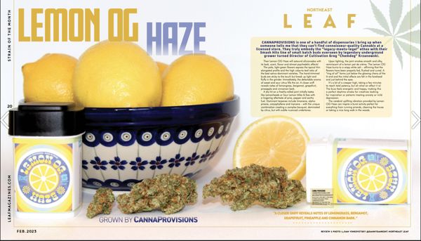 Canna Provisions own Smash Hits cannabis was named Northeast Leaf's Strain of the Month May 2023 for the Lemon OG Haze!