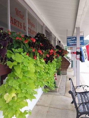 Our beautiful store-front flower boxes gives a lovely welcome to all!