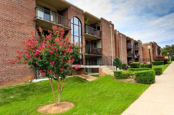 Beautifully landscaped and well-manicured lawns