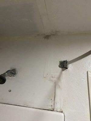 Mold/filth/shower curtain rod falling off wall.