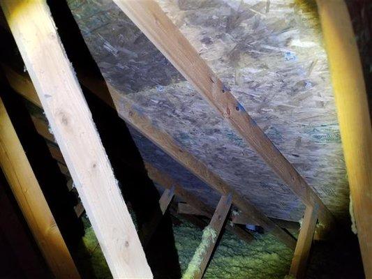 Mold growth on attic side of roof sheathing