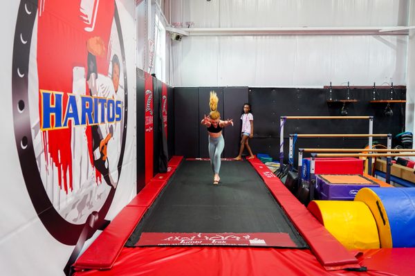 Jump into an extraordinary summer adventure at Haritos Martial Arts Summer Camp, where kids defy gravity and create lifelong memories!