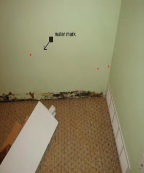 Baseboard removal reveals mold and watermark stains begin to show on wall.