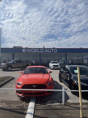 World Auto Houston