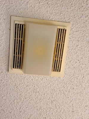 Dust and mold in air vents