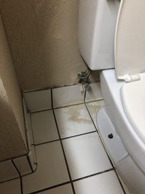 Stain in bathroom