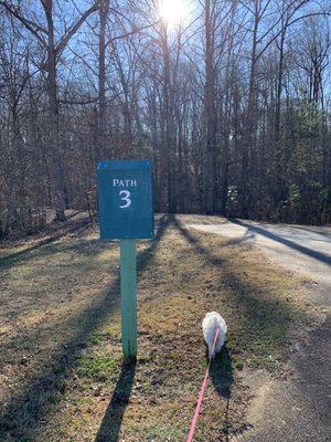 Entrance to non-paved path