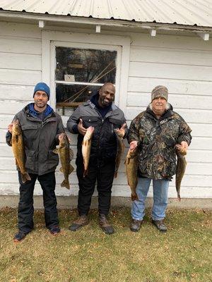 Some of the walleye we caught