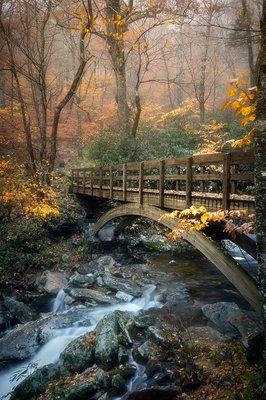 WNC Photo Tours