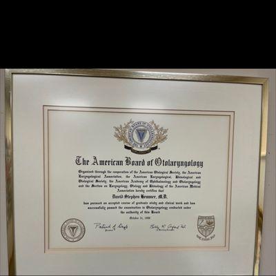 Dr Hemmer Board certificate