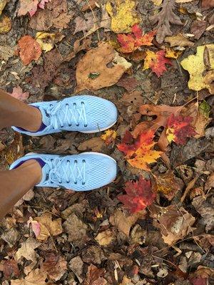 Great Allegheny Passage Trail