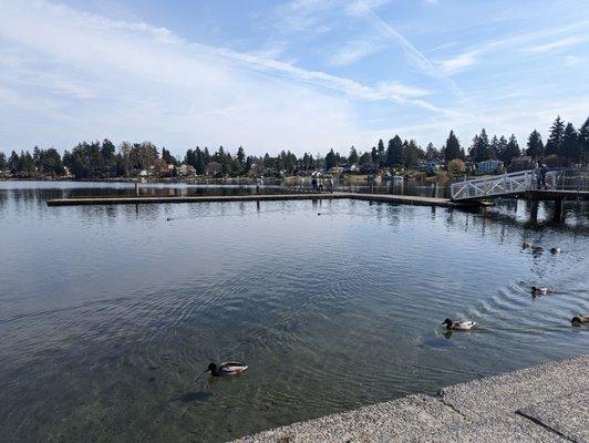 Beautiful park to wait at near SeaTac