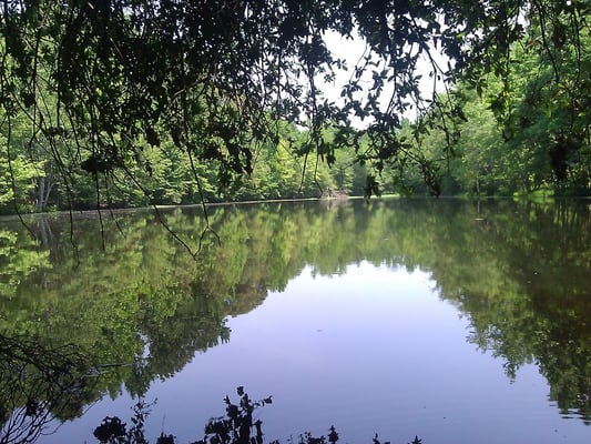 Sherman Branch Trails