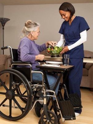 Excellent Care Services Inc