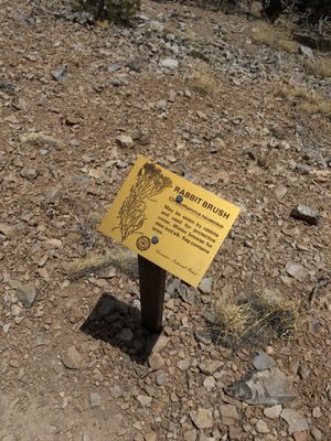 Interpretive panels all the way up. When you see this one the summit is very near.