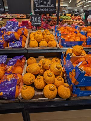 They have Sumo Citrus (Sumo Mandarin, dekopon). $3.49 per pound. This is one of my favorite fruits.