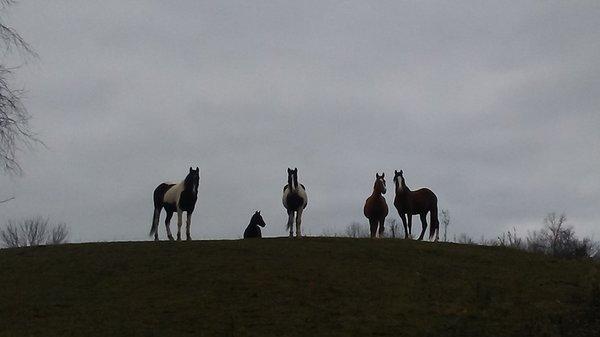 On top of the hill