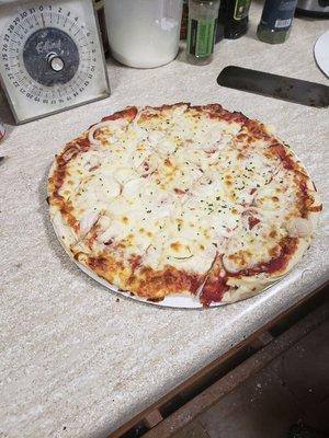 Cheese & onion pizza