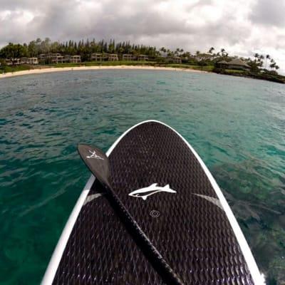 Paddle boarding lessons and tours.