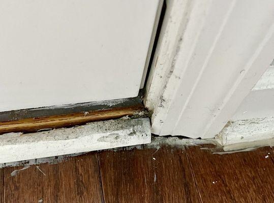 Suspected mold growing near rear door