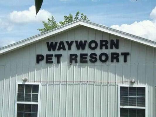 Wayworn Pet Resort