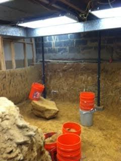 Crawlspace Conversions