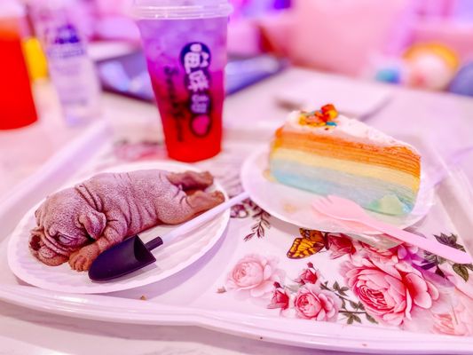 Puppy mousse, volcano tea, rainbow crepe cake!