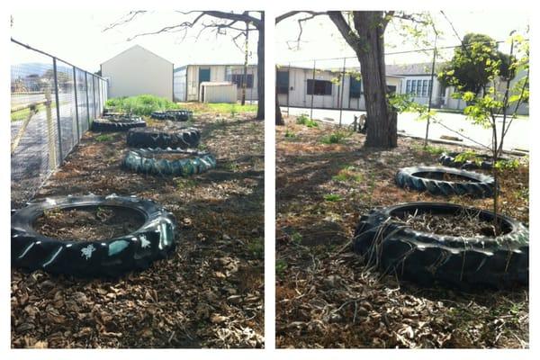 Lincoln's "garden" & this schools supposed to help KIDS grow?!? They cant grow a garden in salinas AKA the produce pit o CA!?