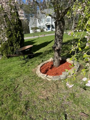 Mulch Bed After (3)