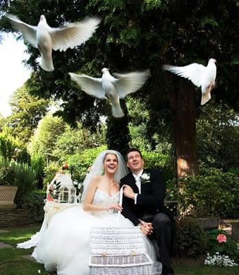 A white dove release is a beautiful photo opportunity at a wedding and a moment to remember.