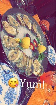 Oysters