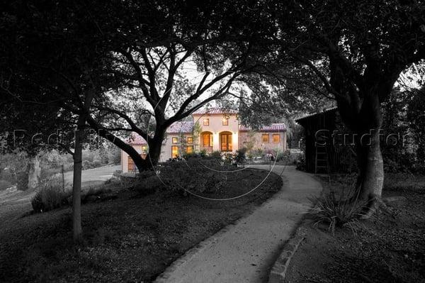 Los Altos Hills Winery Landscape